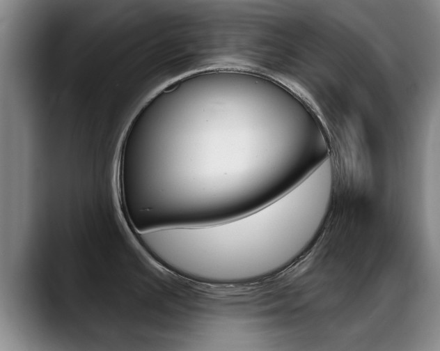 X0000089391391200706150922