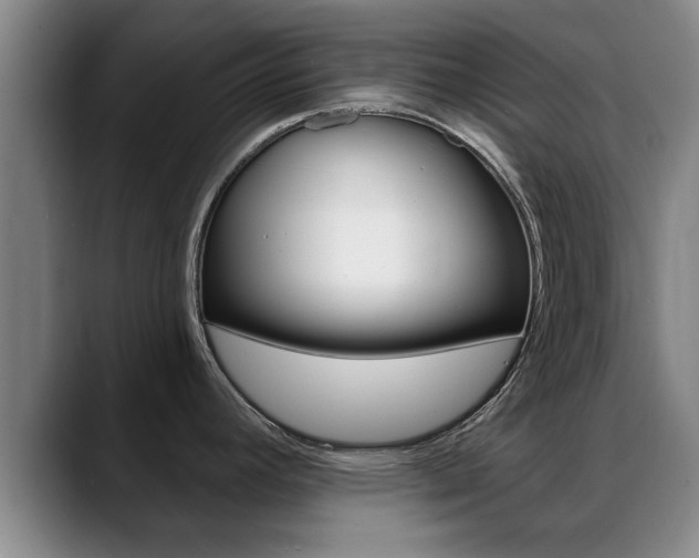 X0000089391392200706150922