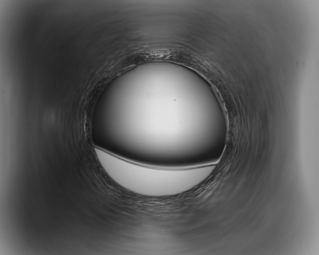 X0000089391394200706150922