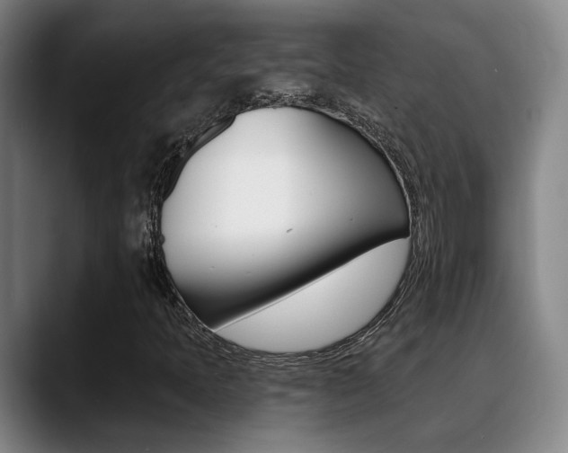 X0000089391397200706150922