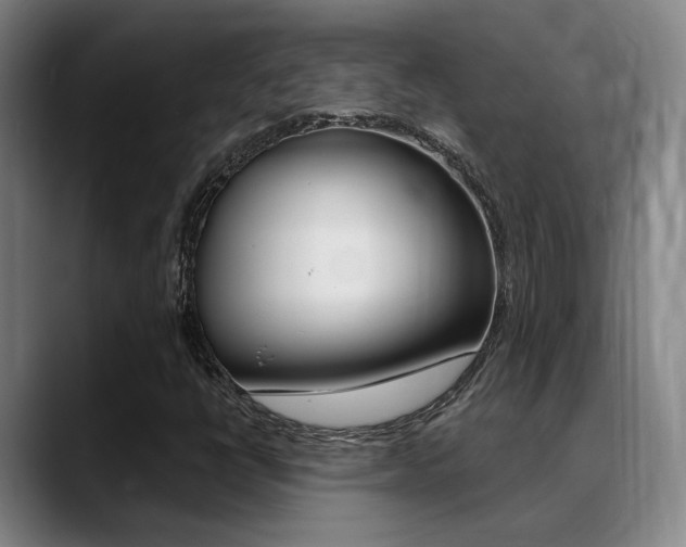 X0000089391398200706150922