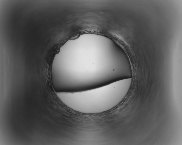 X0000089391399200706150922