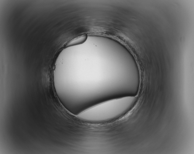 X0000089391401200706150922