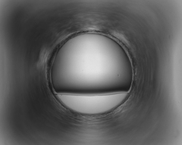 X0000089391404200706150922