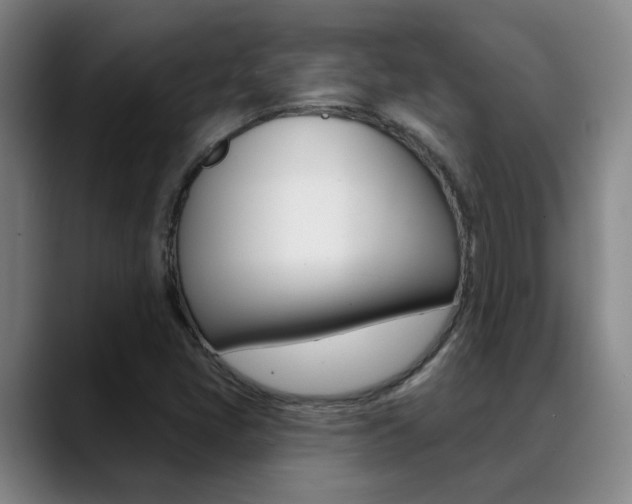 X0000089391405200706150922