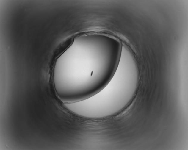X0000089391406200706150922