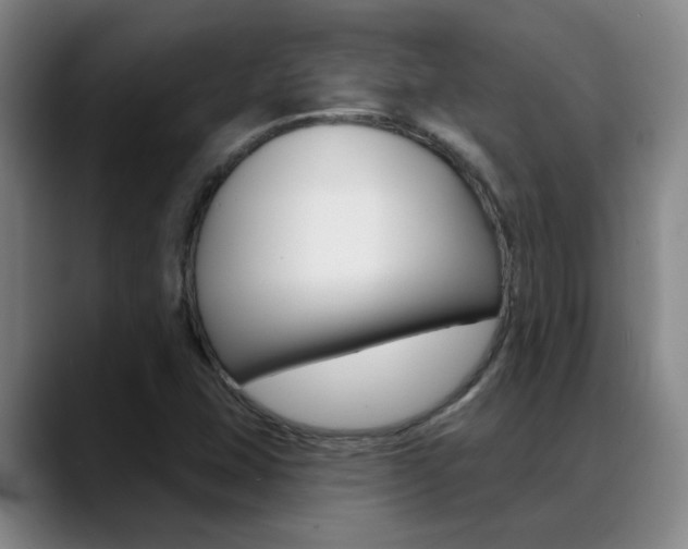 X0000089391407200706150922