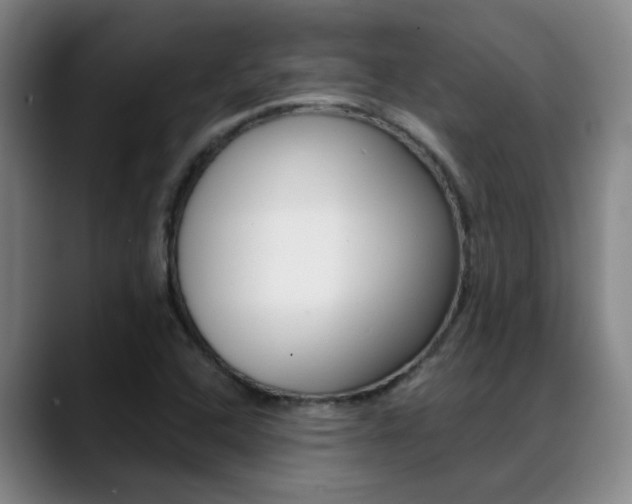 X0000089391408200706150922