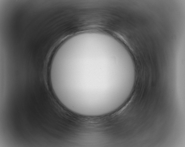 X0000089391410200706150922