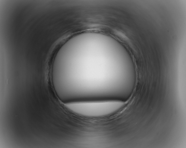 X0000089391411200706150922