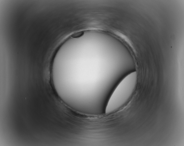 X0000089391415200706150922