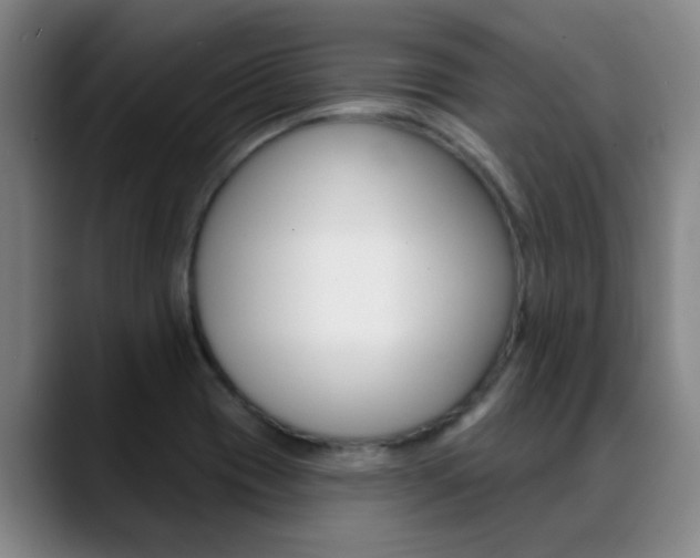 X0000089391417200706150922