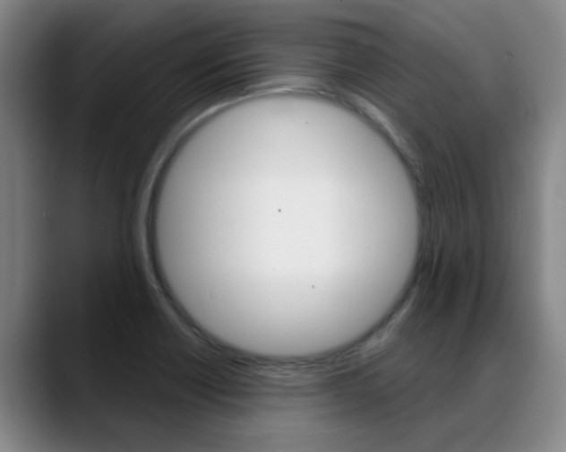 X0000089391418200706150922
