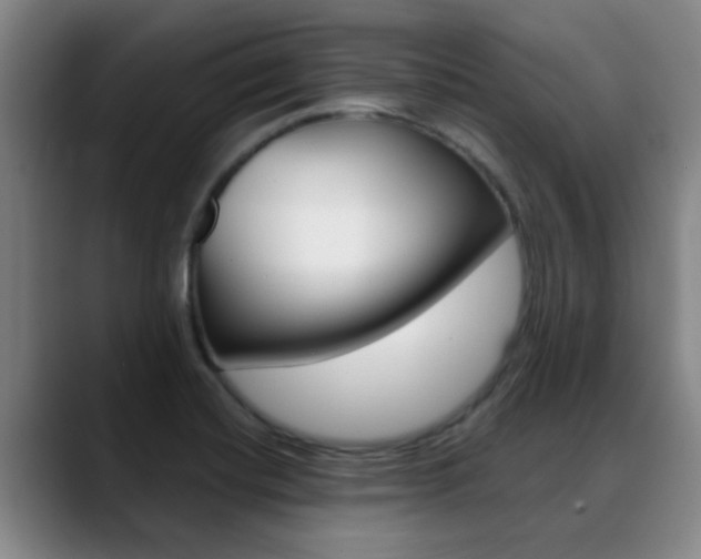 X0000089391420200706150922