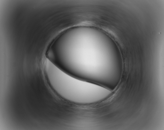 X0000089391422200706150922