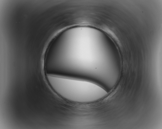 X0000089391424200706150922