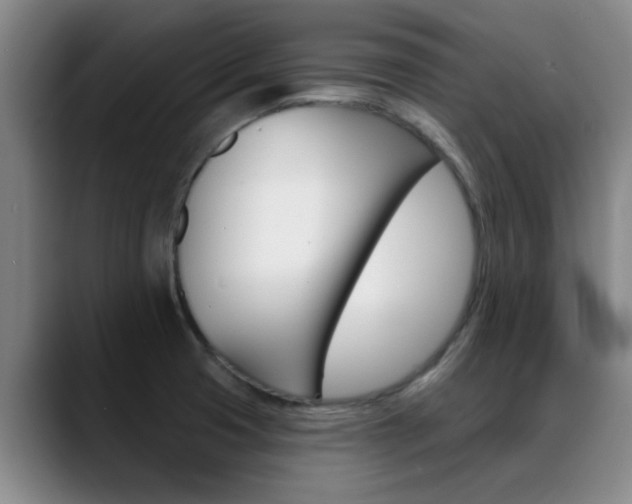 X0000089391425200706150922