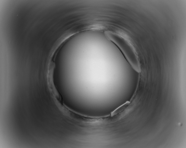 X0000089391426200706150922