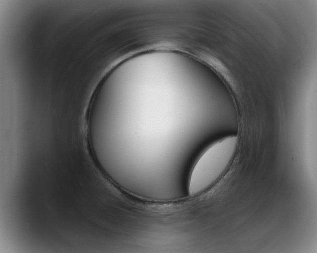 X0000089391428200706150922
