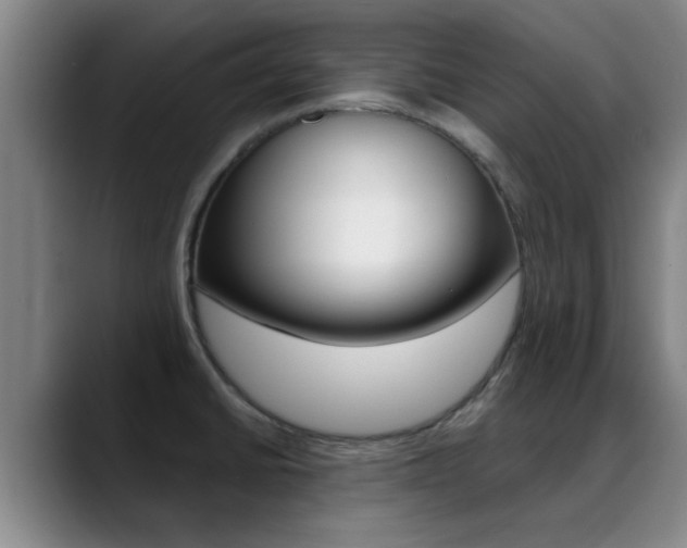 X0000089391430200706150922