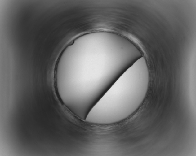 X0000089391431200706150922