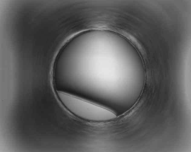 X0000089391432200706150922