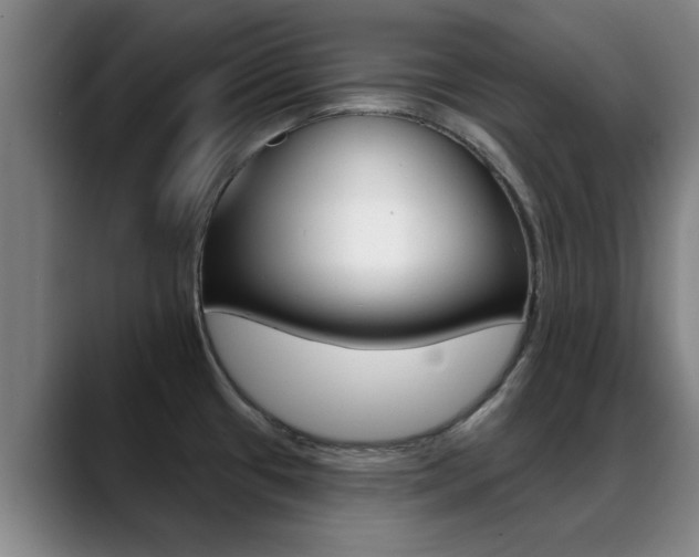 X0000089391433200706150922