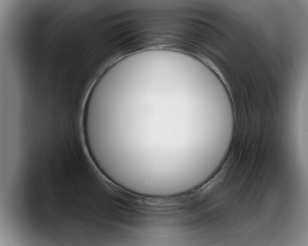 X0000089391434200706150922