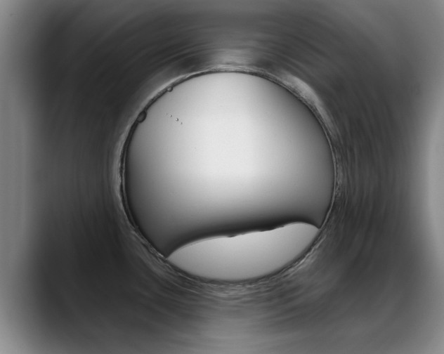 X0000089391435200706150922