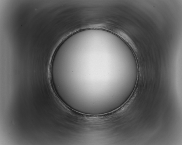 X0000089391436200706150922