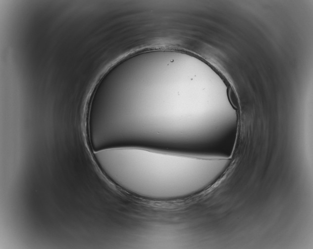 X0000089391437200706150922