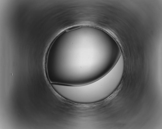 X0000089391438200706150922
