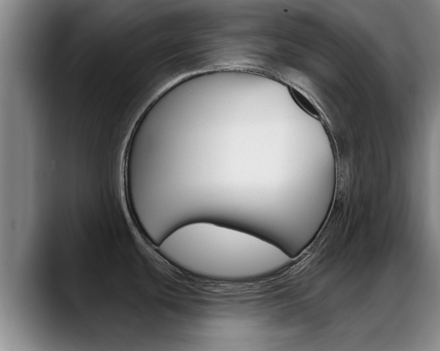 X0000089391439200706150922