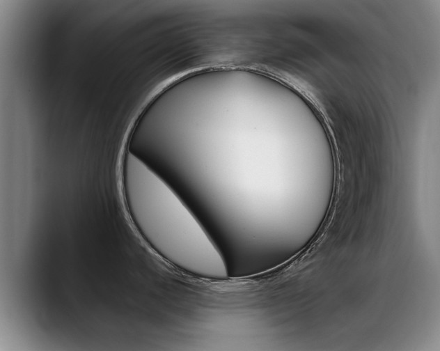 X0000089391440200706150922