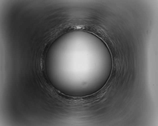 X0000089391442200706150922