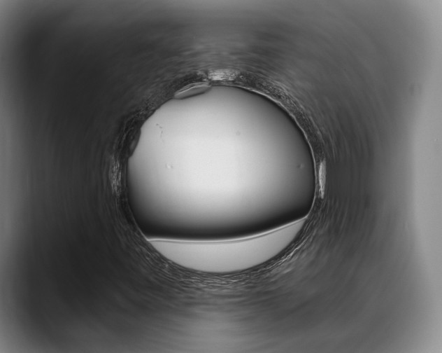 X0000089391443200706150922