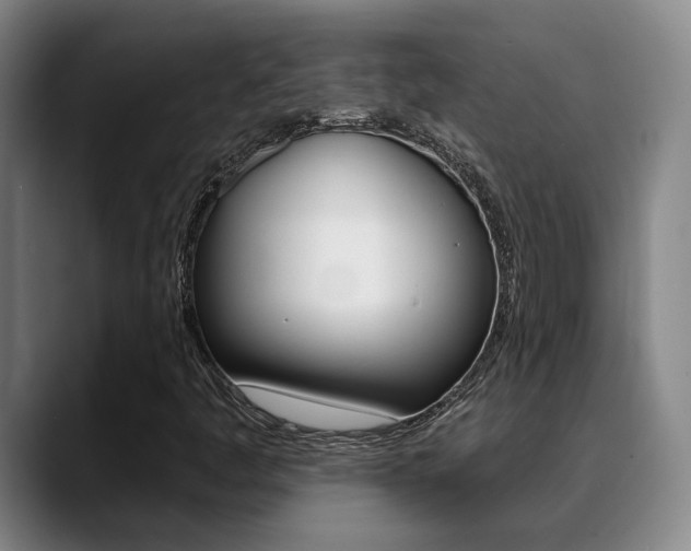 X0000089391445200706150922