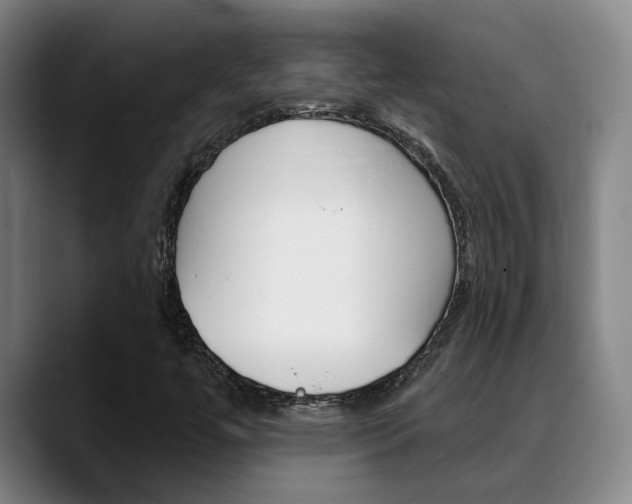 X0000089391447200706150922