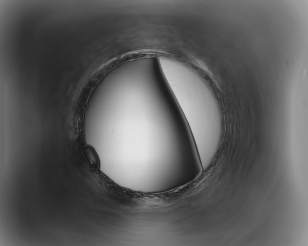 X0000089391448200706150922