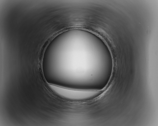 X0000089391449200706150922
