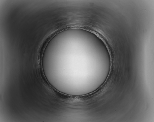 X0000089391450200706150922