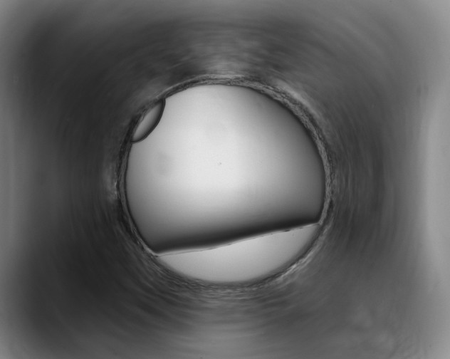 X0000089391451200706150922