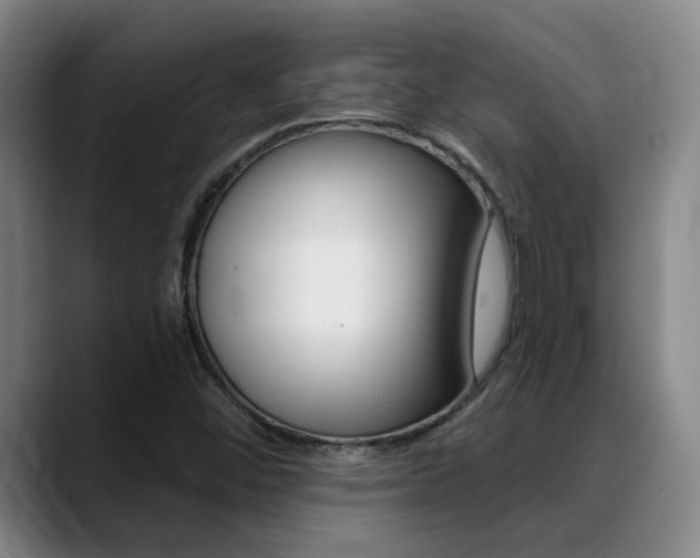 X0000089391452200706150922