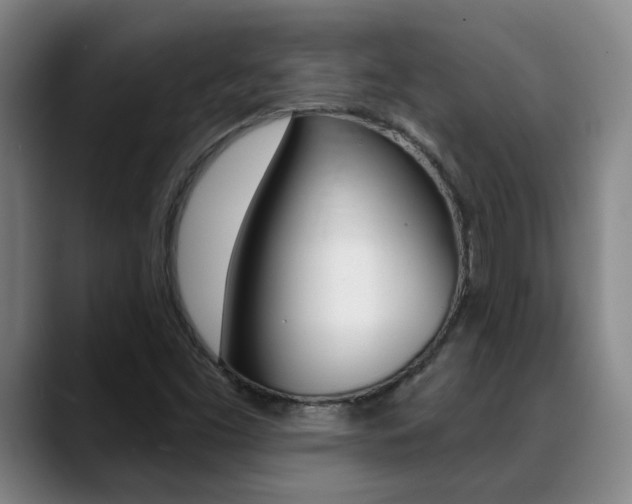 X0000089391453200706150922