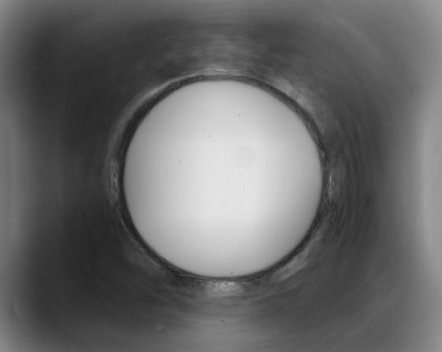 X0000089391454200706150922