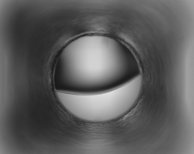 X0000089391455200706150922