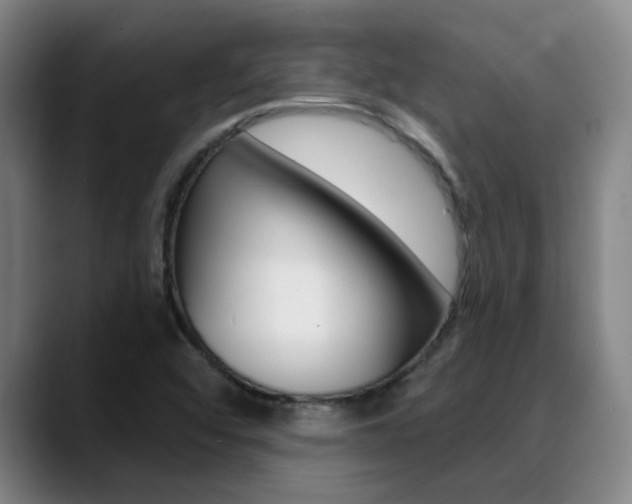 X0000089391456200706150921