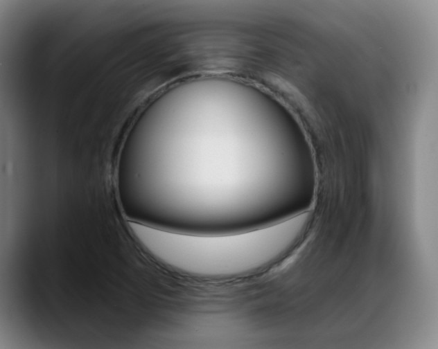 X0000089391457200706150921