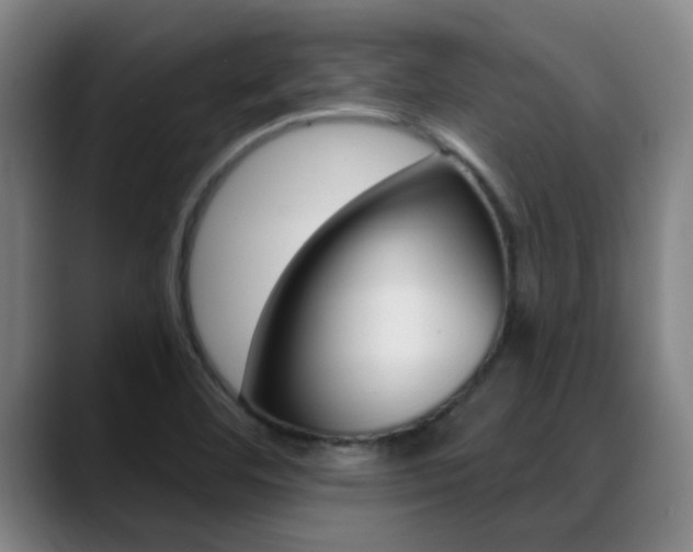 X0000089391460200706150921