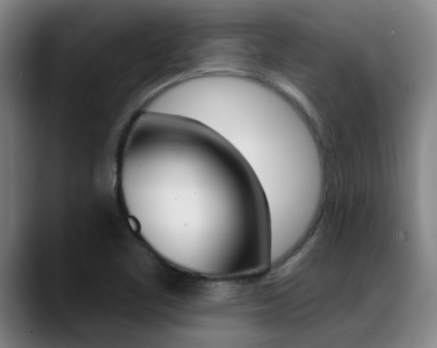 X0000089391461200706150921
